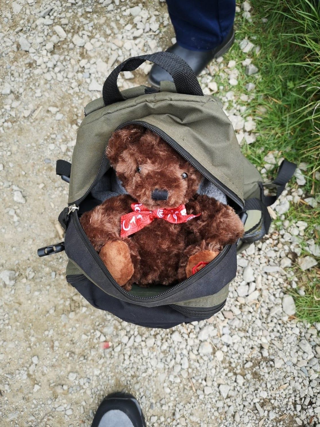 MORRIS THE BEAR ON HOLIDAY