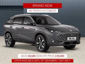 MG MOTOR UK HS 2025 (BRAND NEW) at W H Brand Whaplode Drove, Near Spalding