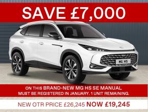 MG MOTOR UK HS at W H Brand Whaplode Drove, Near Spalding