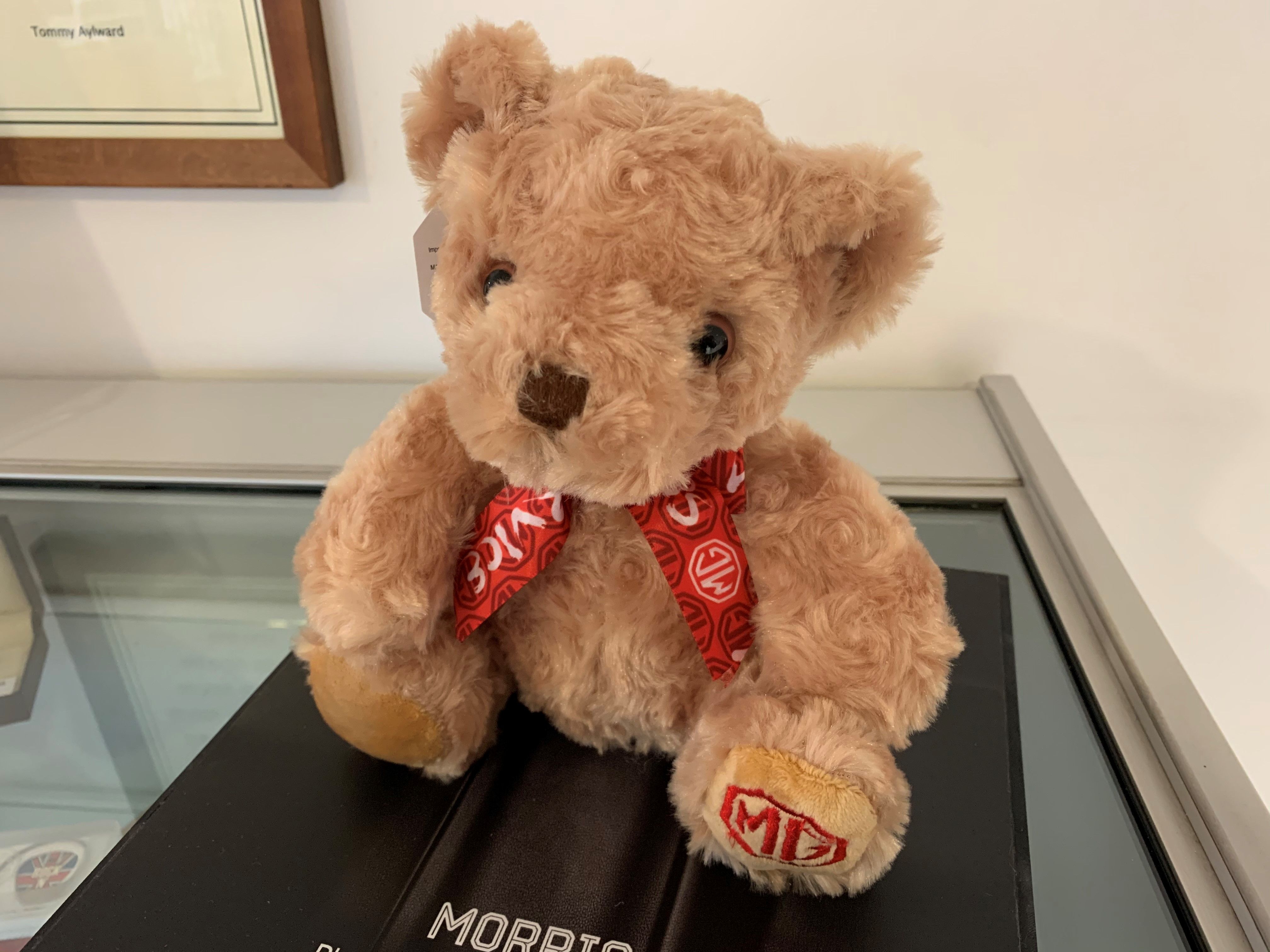 INTRODUCING THE 2021 MORRIS THE BEAR!