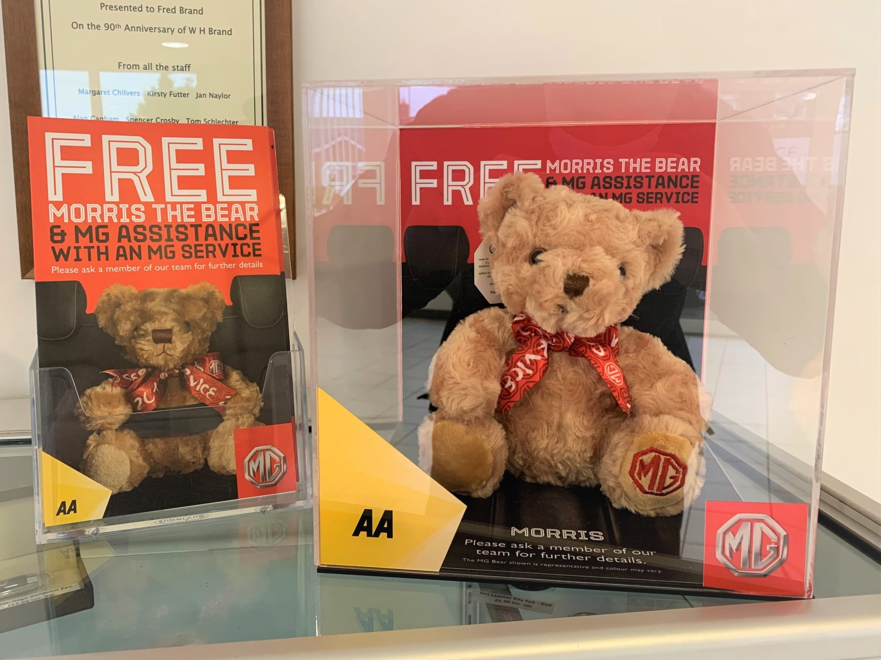 Free AA Cover & a Morris The Bear!