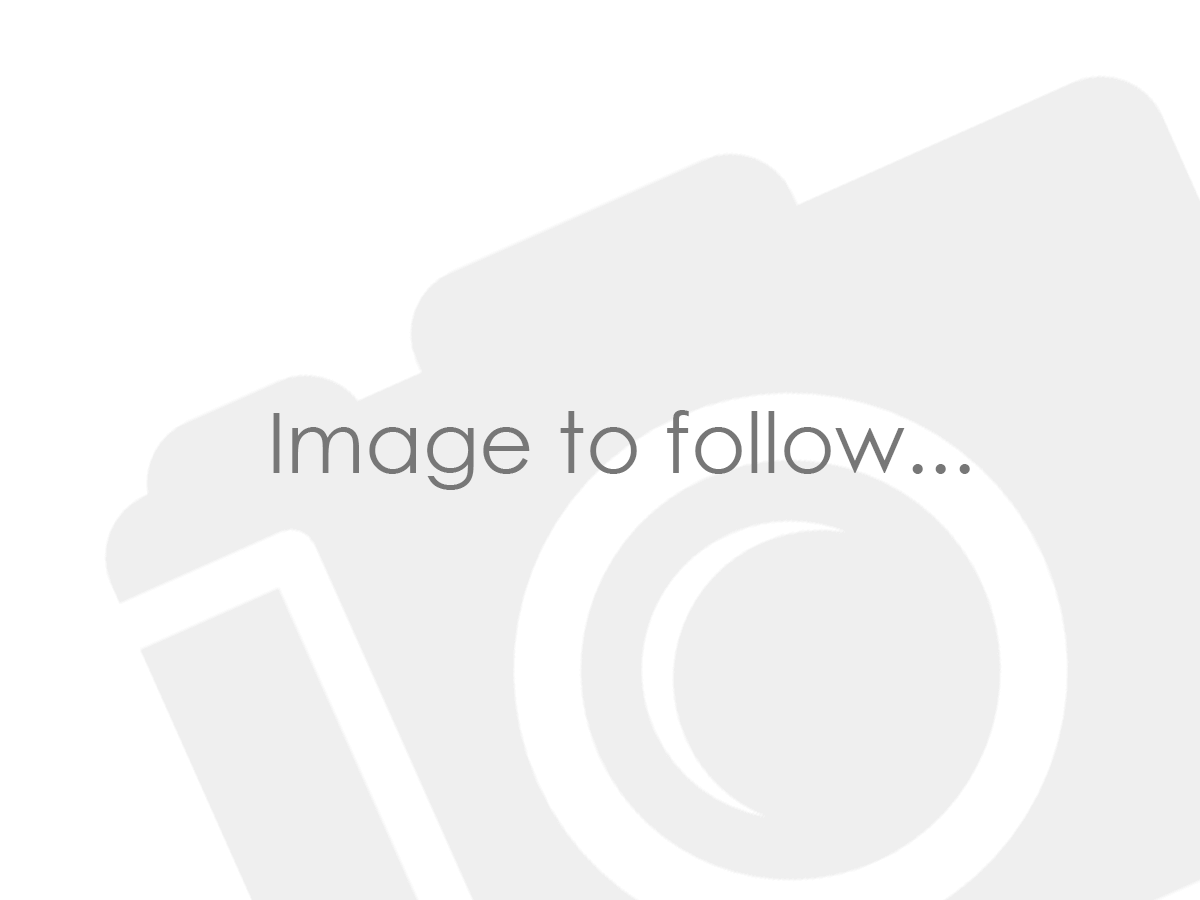 2024 MG Motor UK HS